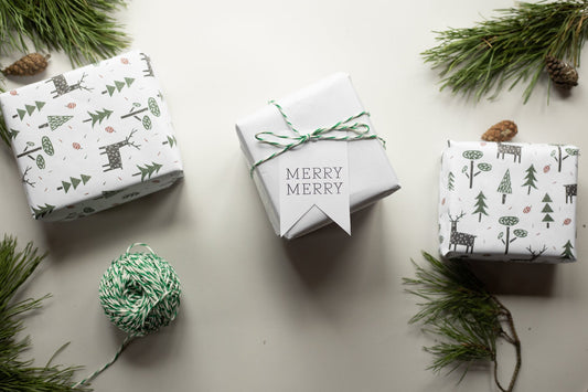 Sustainable Holiday Gift Guide
