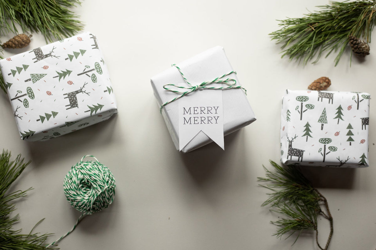 Sustainable Holiday Gift Guide - Windseeker
