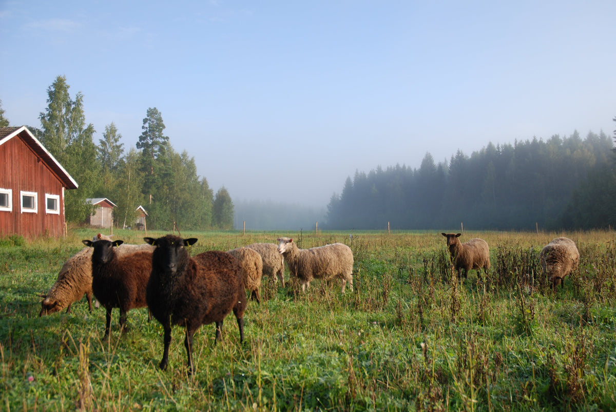 Myssyfarmi Wool Knitwear: Sustainable Luxury from Finland