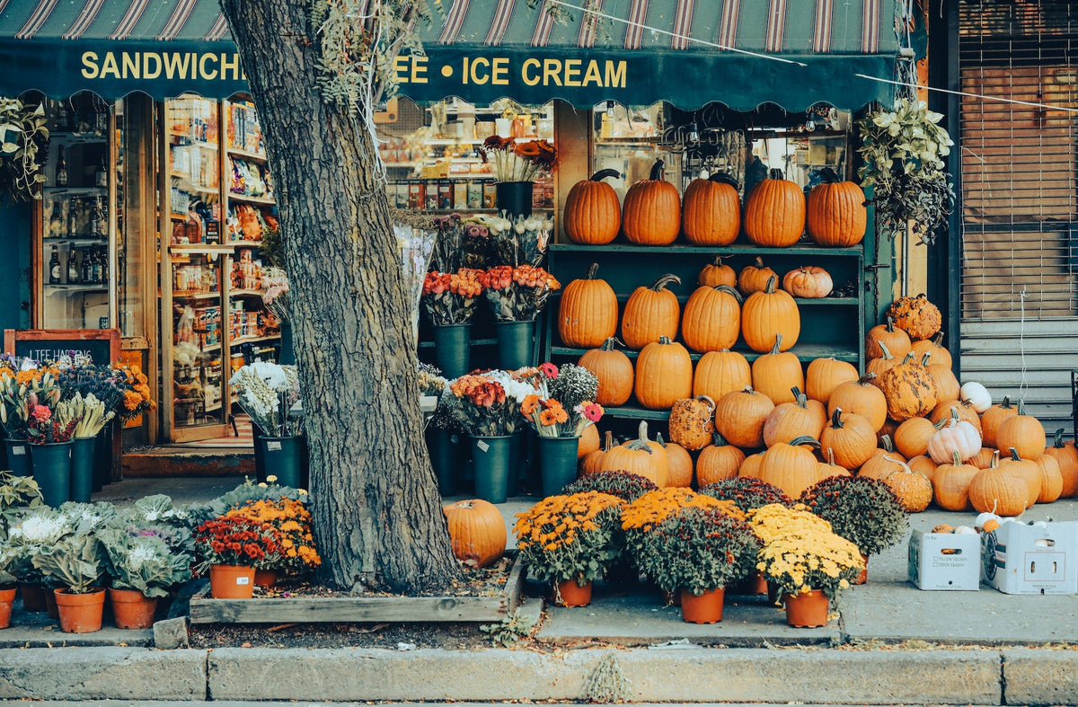Fall Favorites