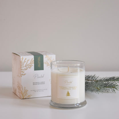 Freshly Trimmed Christmas Tree Soy Wax Candle