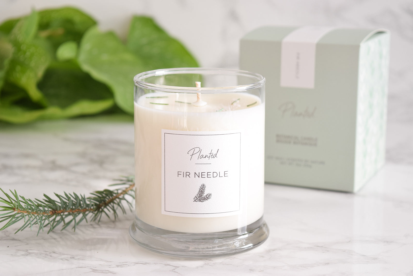 Fir Needle Soy Wax Candle