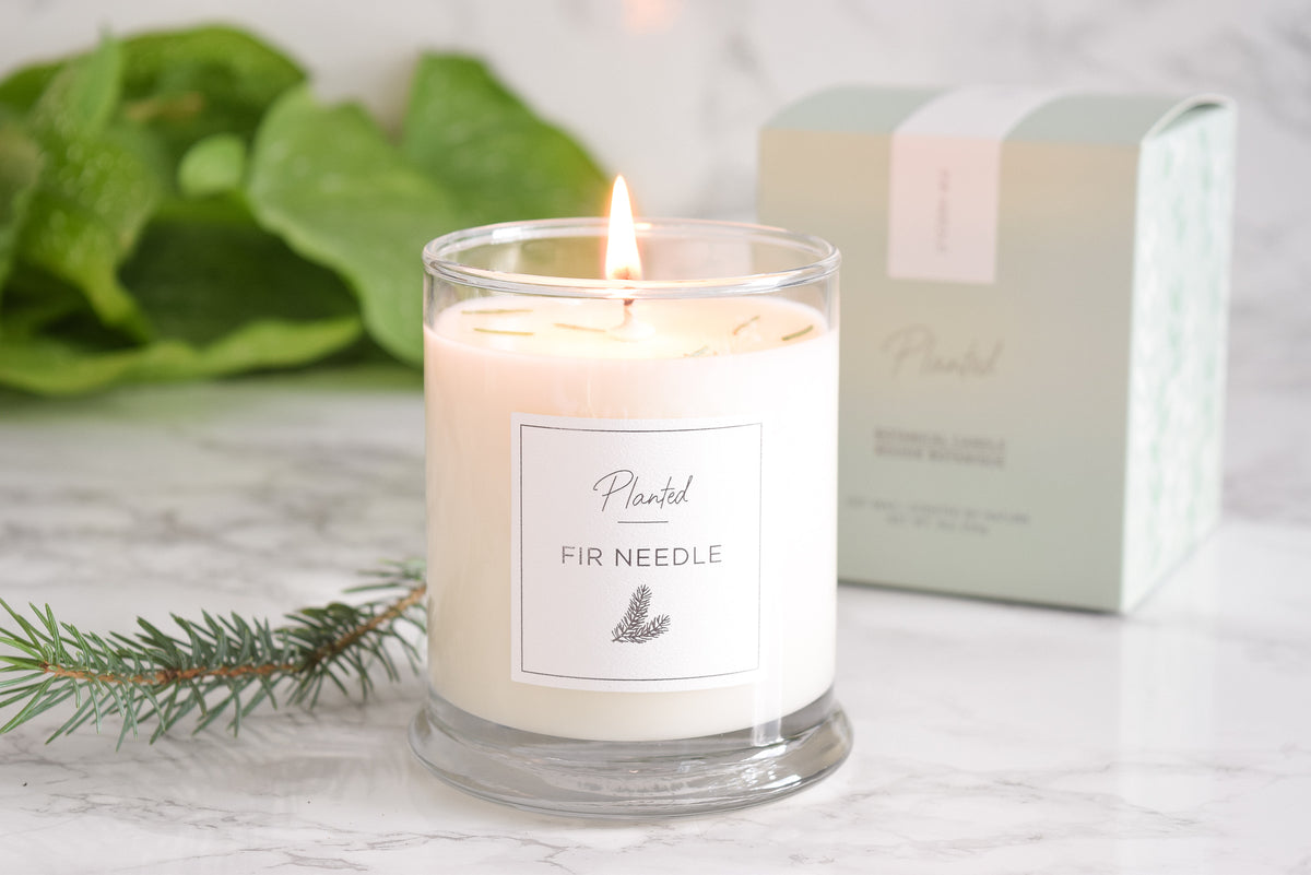 Fir Needle Soy Wax Candle