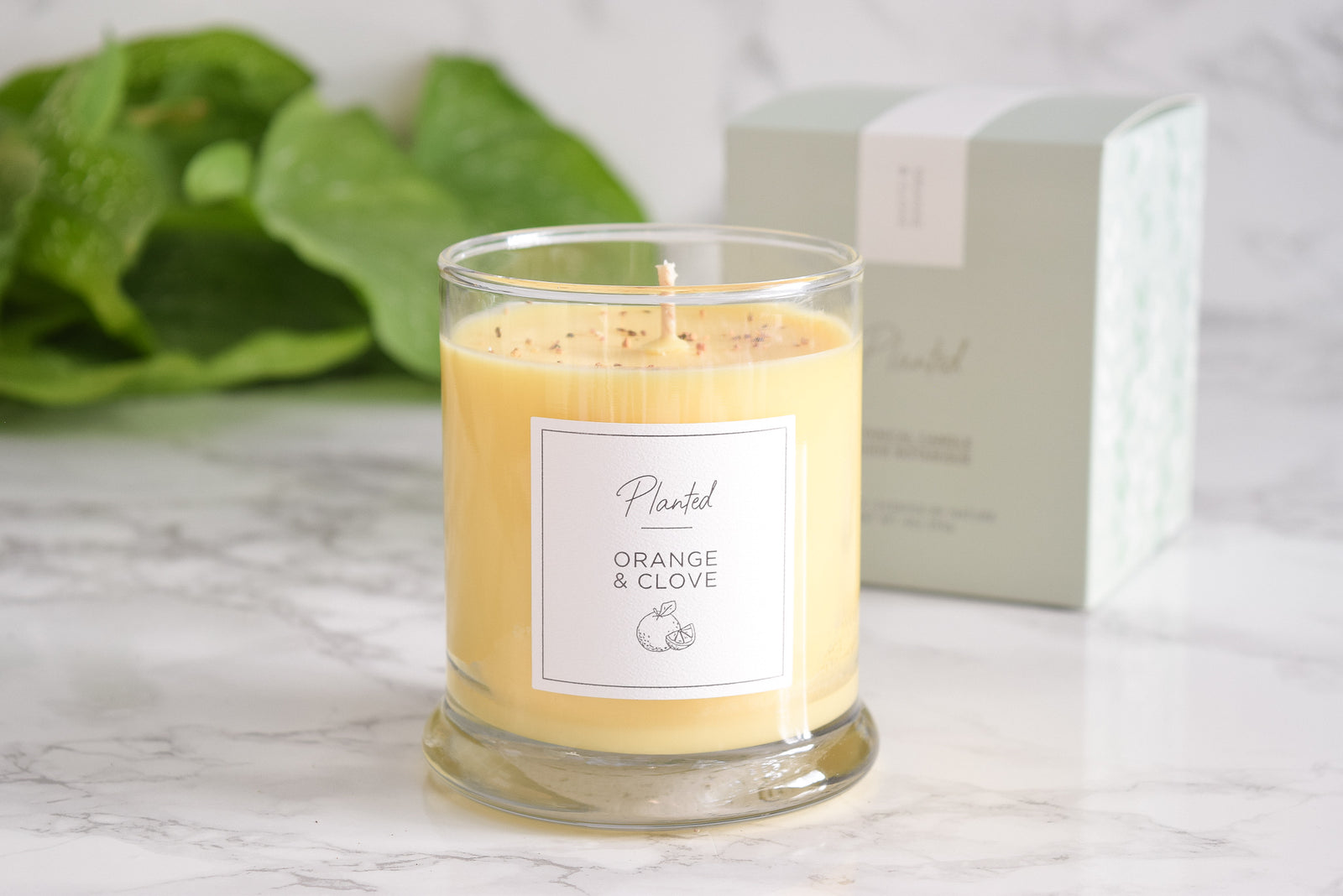 Orange & Clove Soy Wax Candle