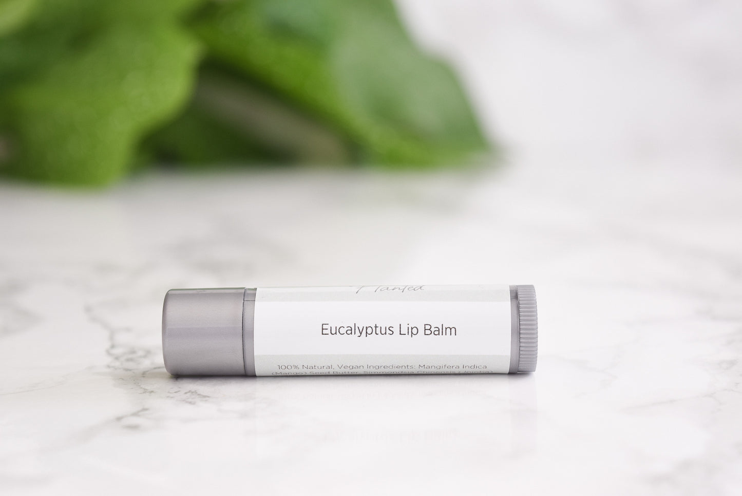 Eucalyptus Overnight Lip Repair