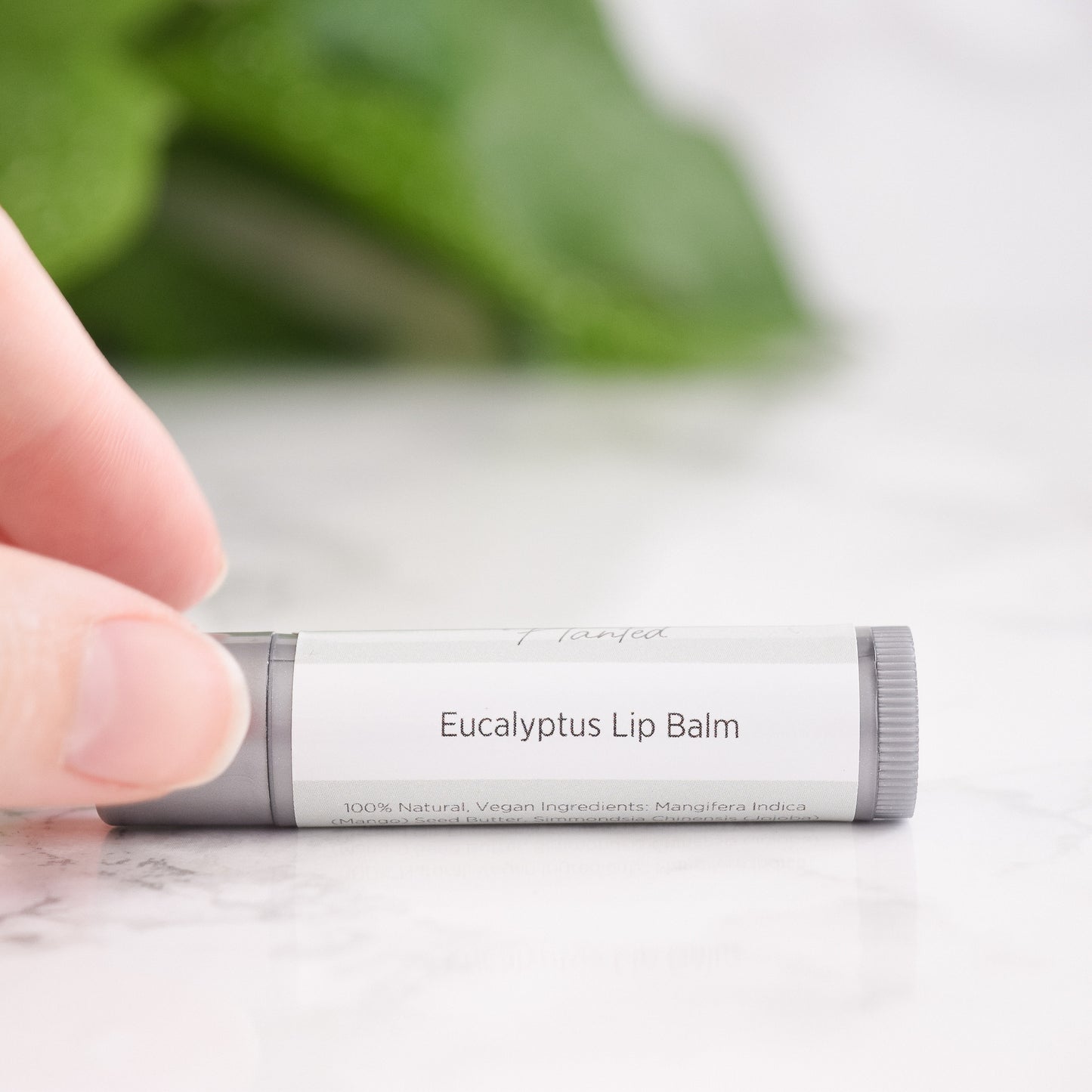 Eucalyptus Overnight Lip Repair