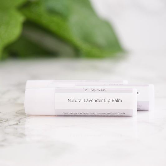 Lavender Overnight Lip Repair