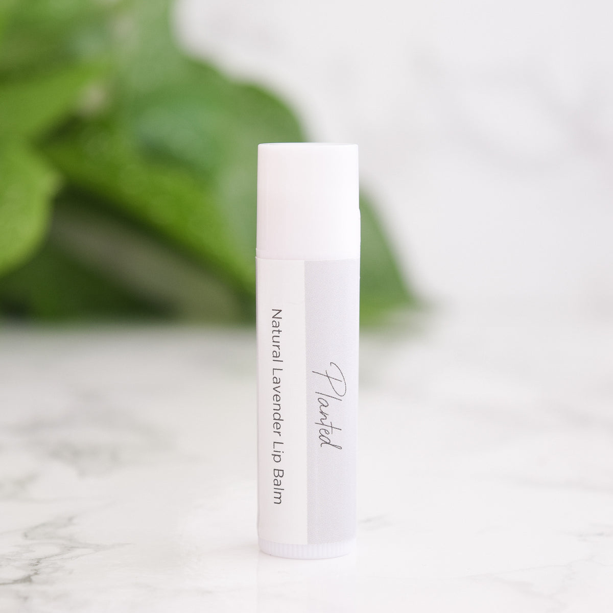 Lavender Overnight Lip Repair