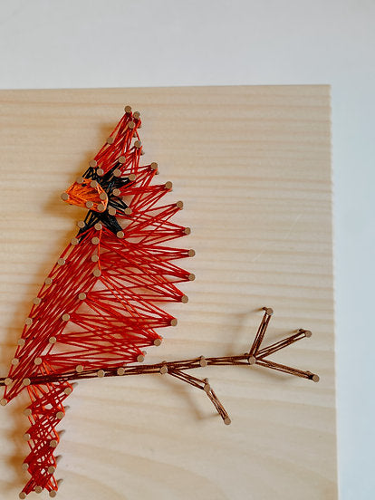 Large String Art Kit - Cardinal