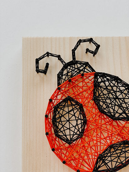 Small String Art Kit - Ladybug