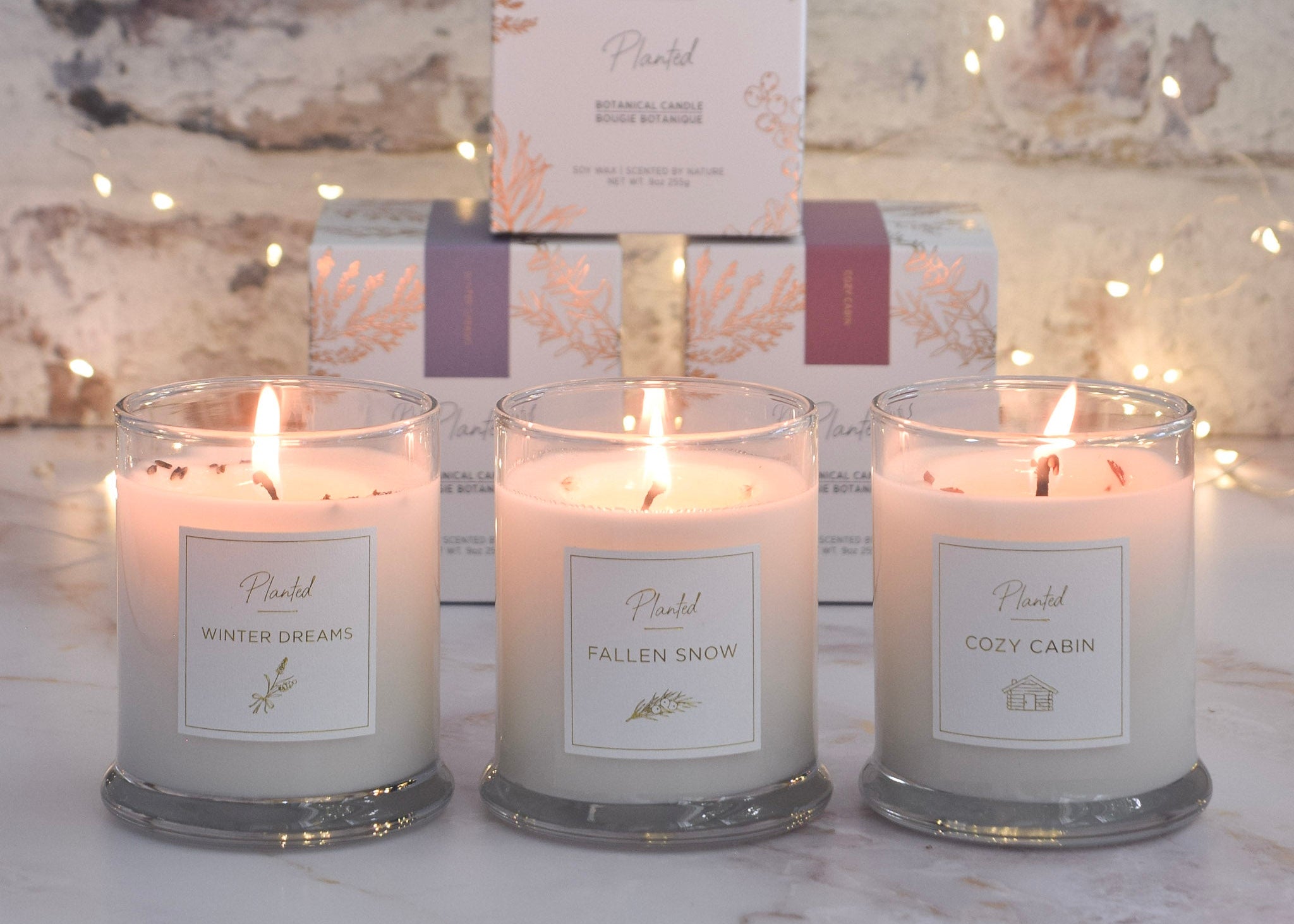 Picture of candles from Planted