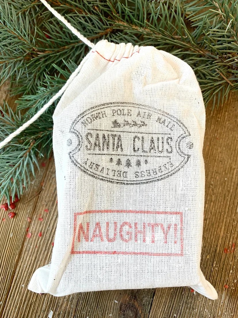 Santa Soap Bundle - Naughty Charcoal
