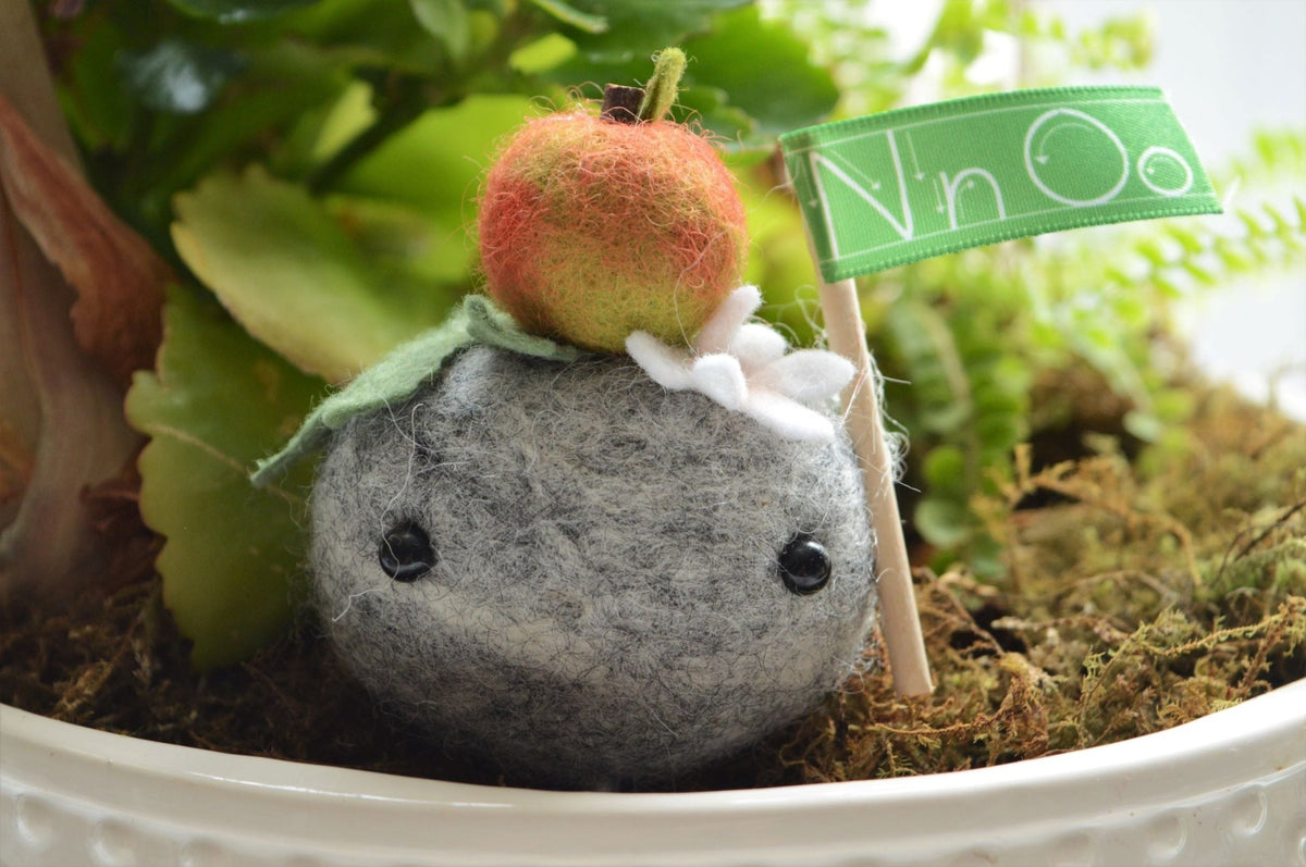 Stone Softies - Plant Pal Teacher