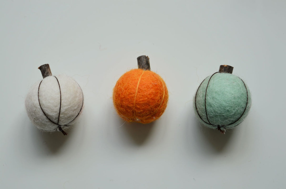 Stone Softies - Pumpkin Magnets