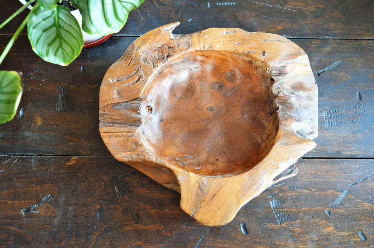 Teak Root Bowl - Medium